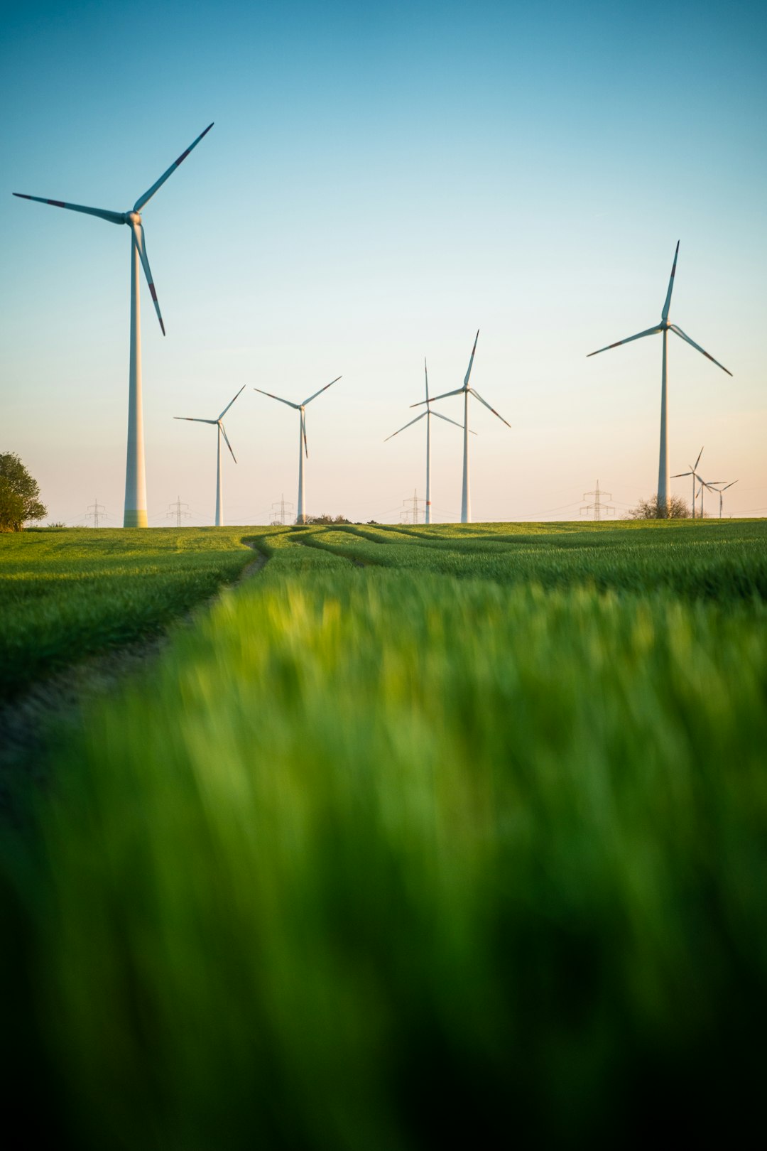 Energy efficiency expert